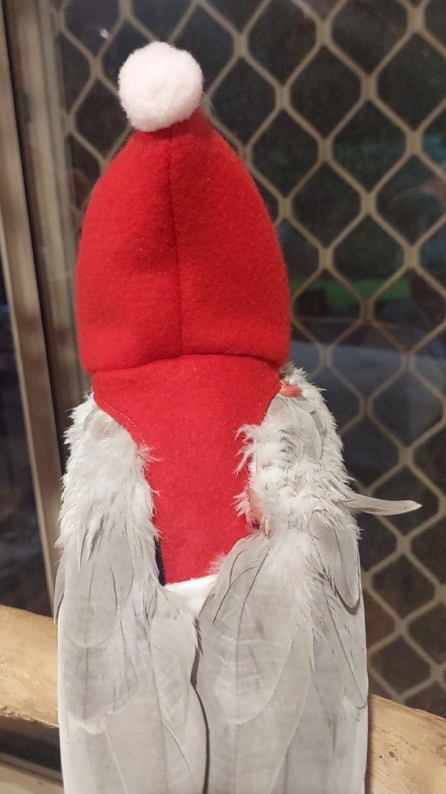 Santa Baby Hoodie