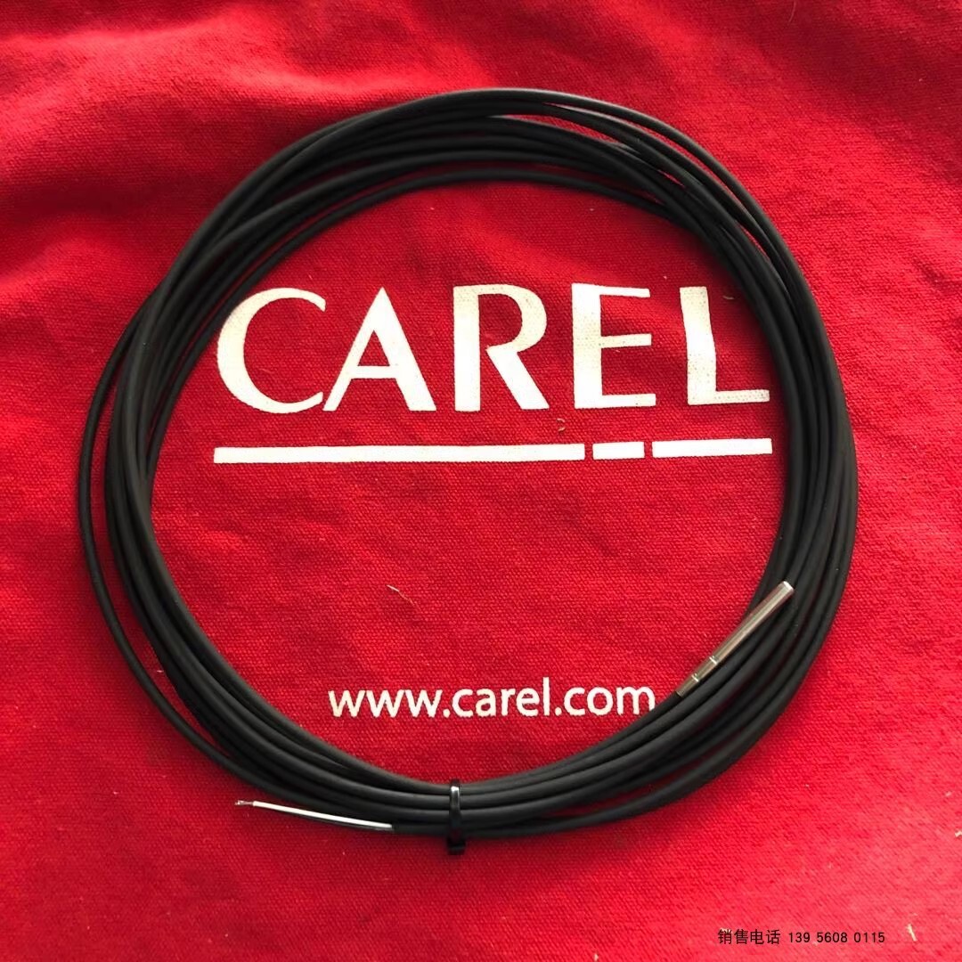 1pcs NEW CAREL Temperature Sensor Probe NTC060WF00 6M Fast delivery
