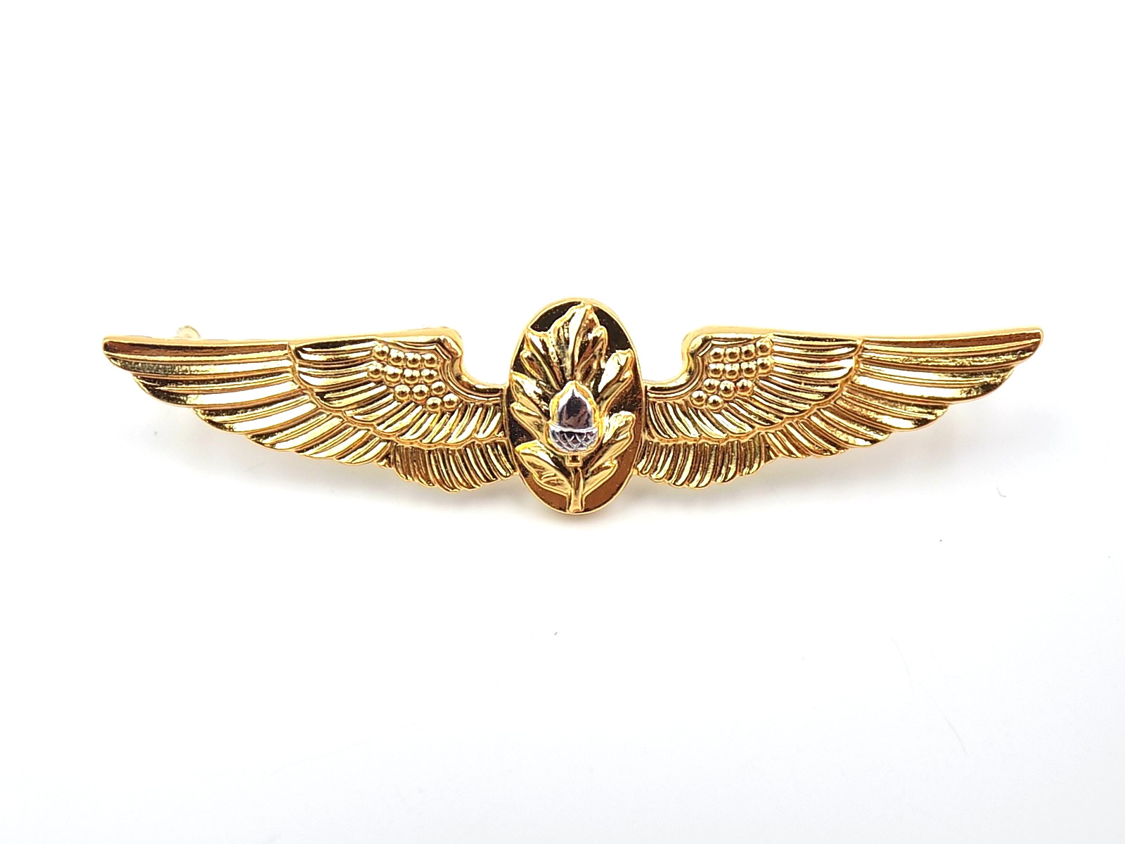 Original Vietnam War US Navy Flight Surgeon Cap Wings