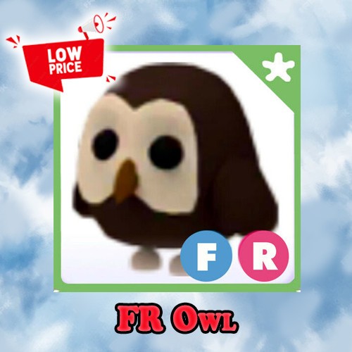 FR Owl - Adopt right now