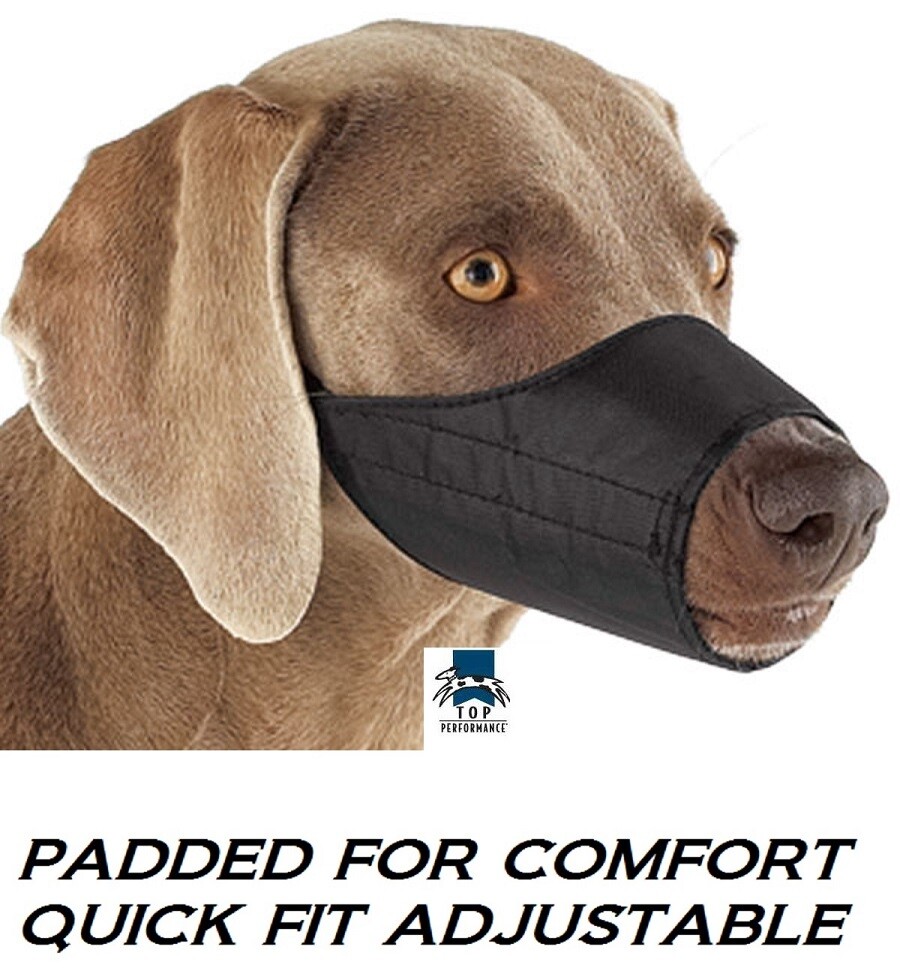 Top Performance 9 pc SET QUICK-FIT LINED COMFORT DOG MUZZLE*Training Groomer Vet