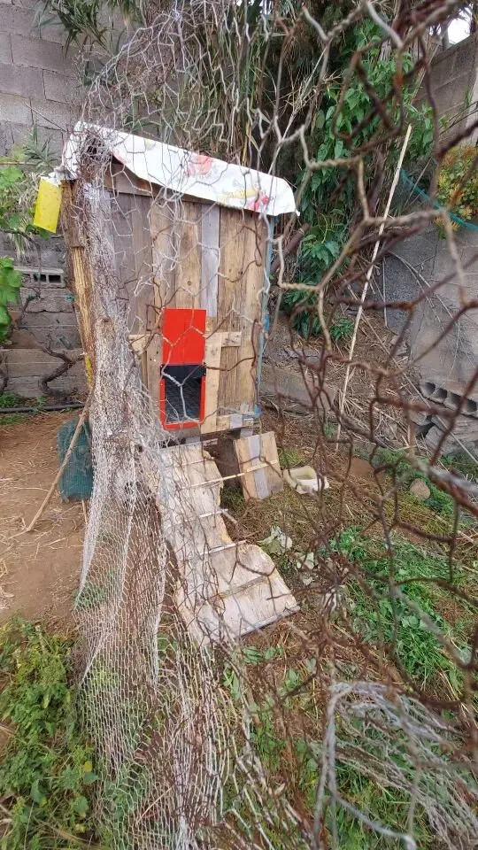 Automatic Chicken Coop Door Opener | Light Sensor, Battery Powered, Waterproof