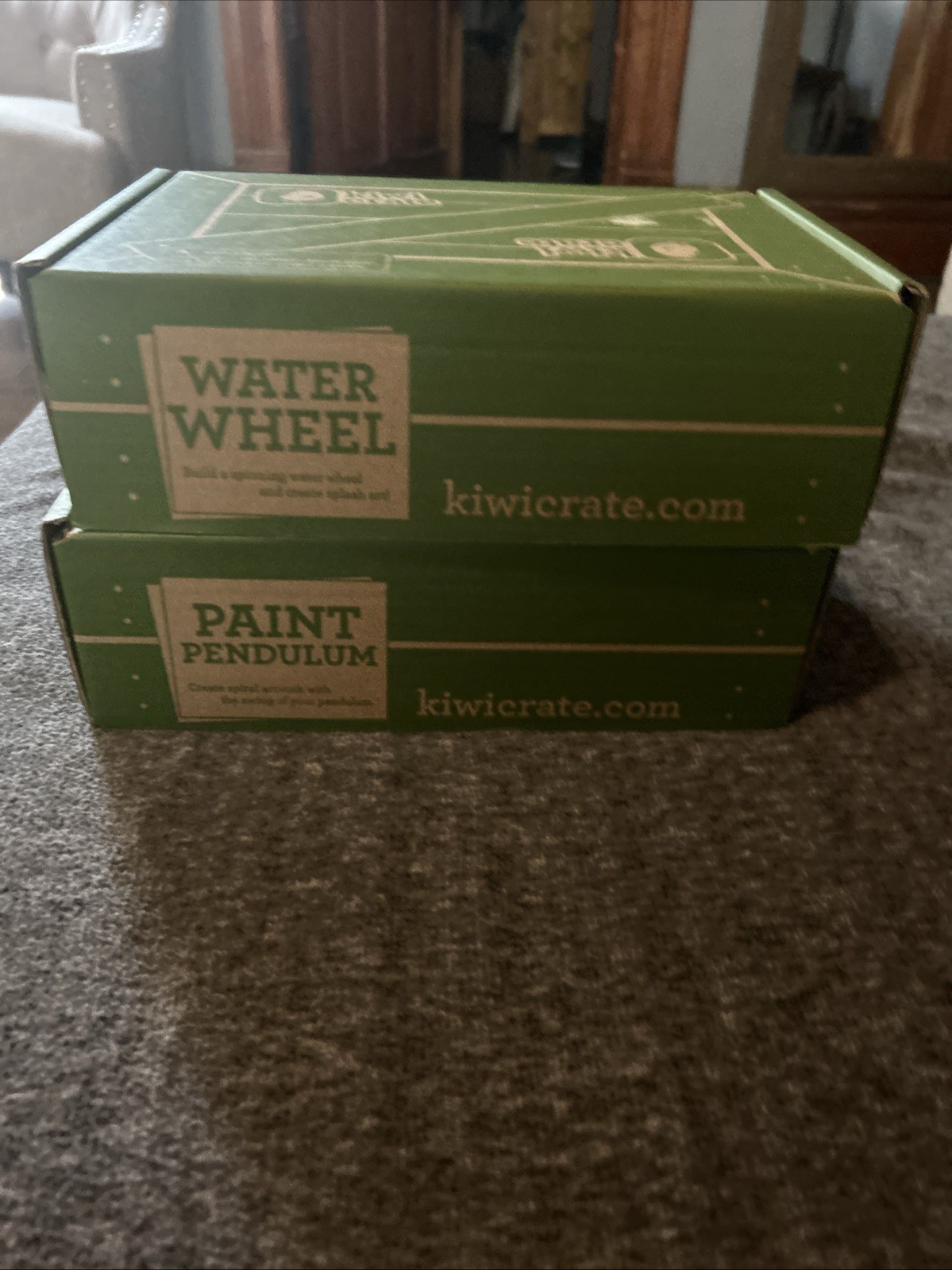 KiwiCo Kiwi Crate Water Wheel Paint Pendulum  Educational Science 5+ NEW In Box