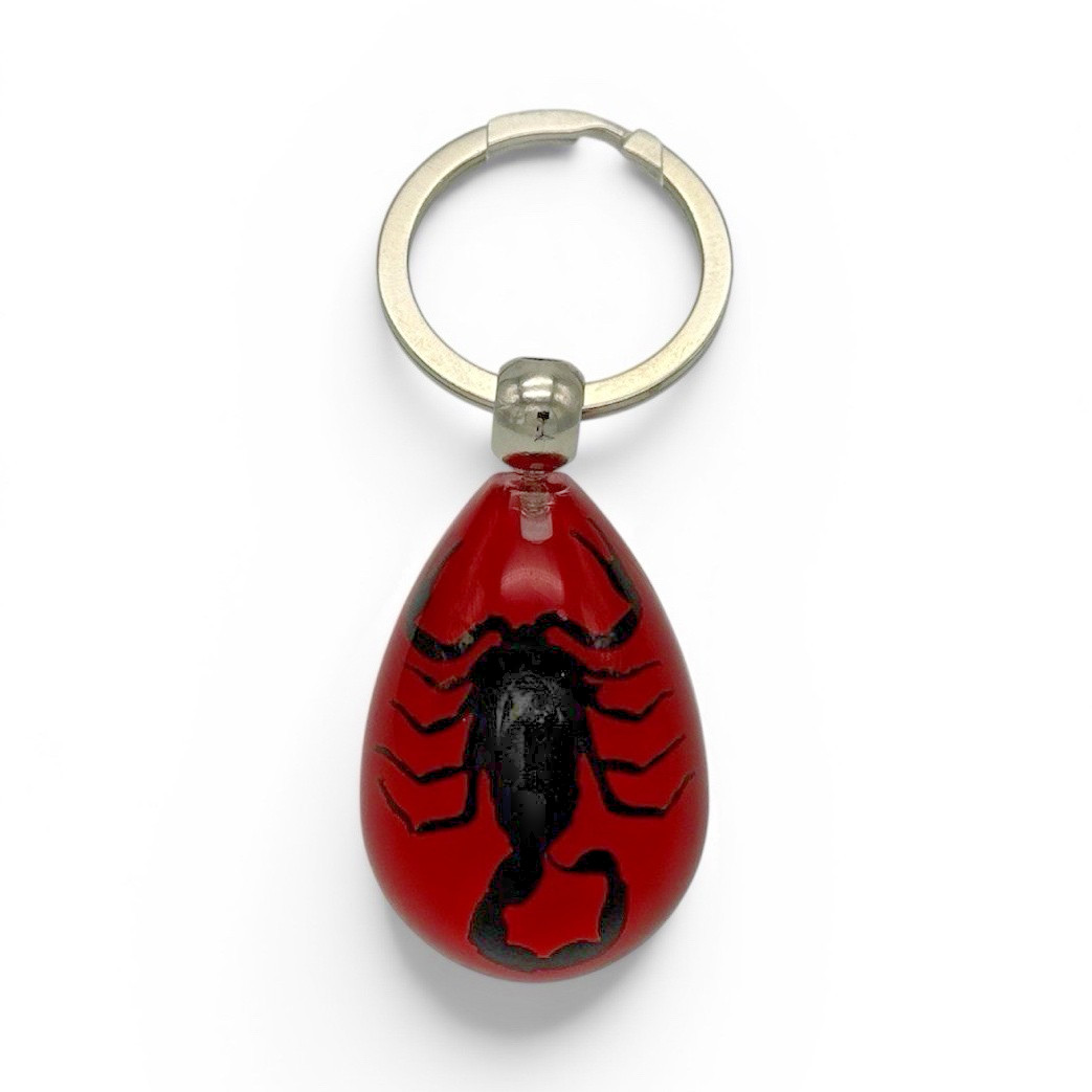 Handmade Real Black Scorpion in Red Resin Keychain – Taxidermy Gift