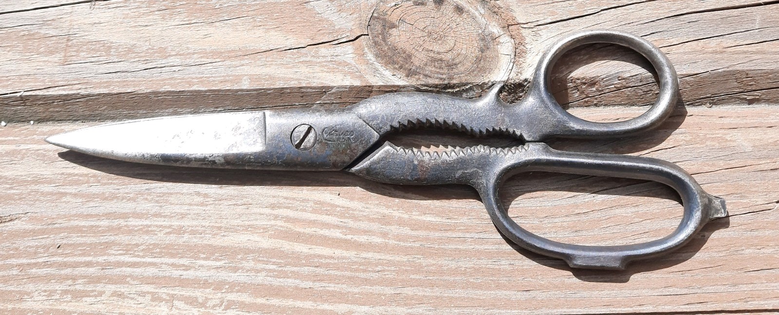 Vintage Clauss Kitchen Shears