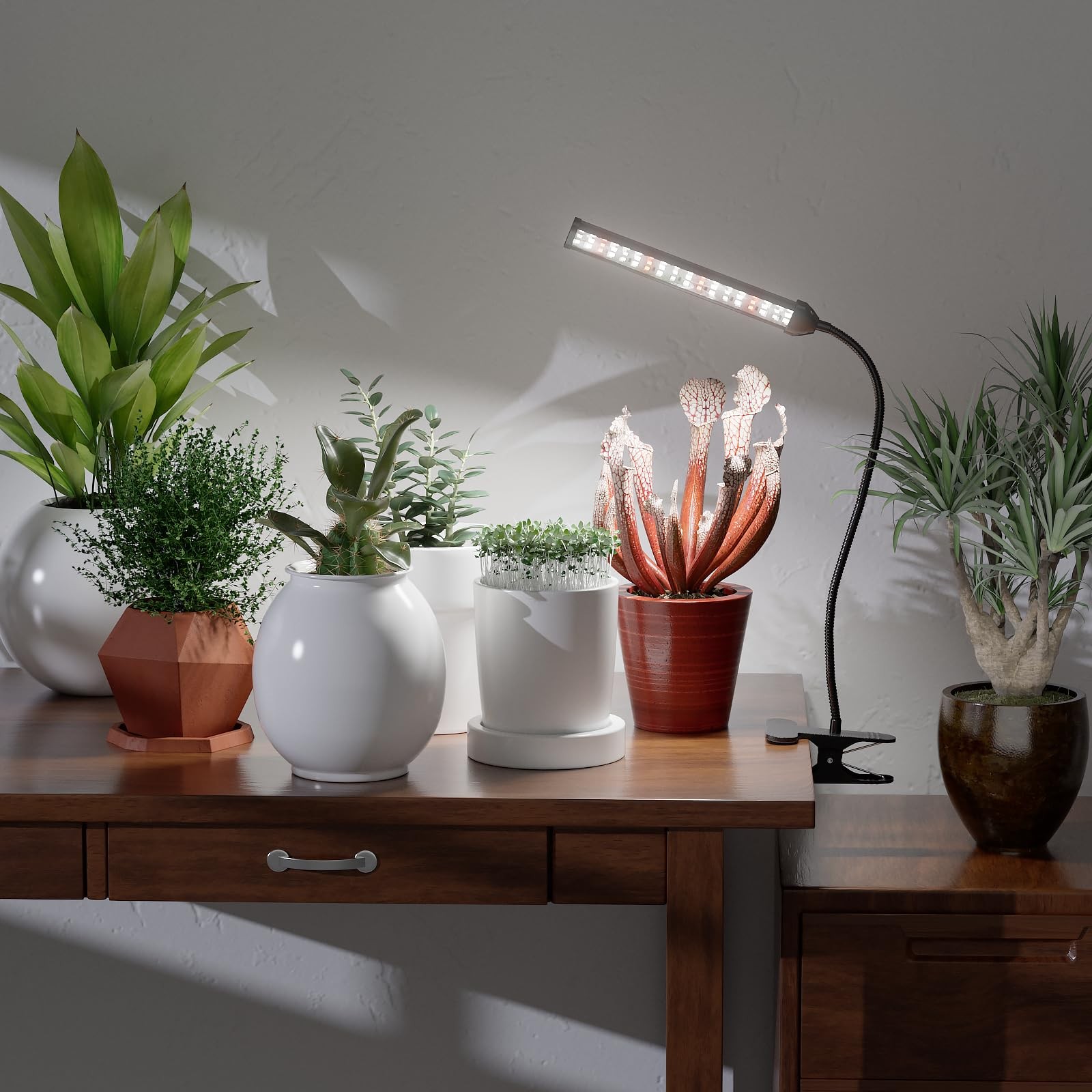 Grow Light for Indoor Plants Growing, 6000K Full Spectrum
