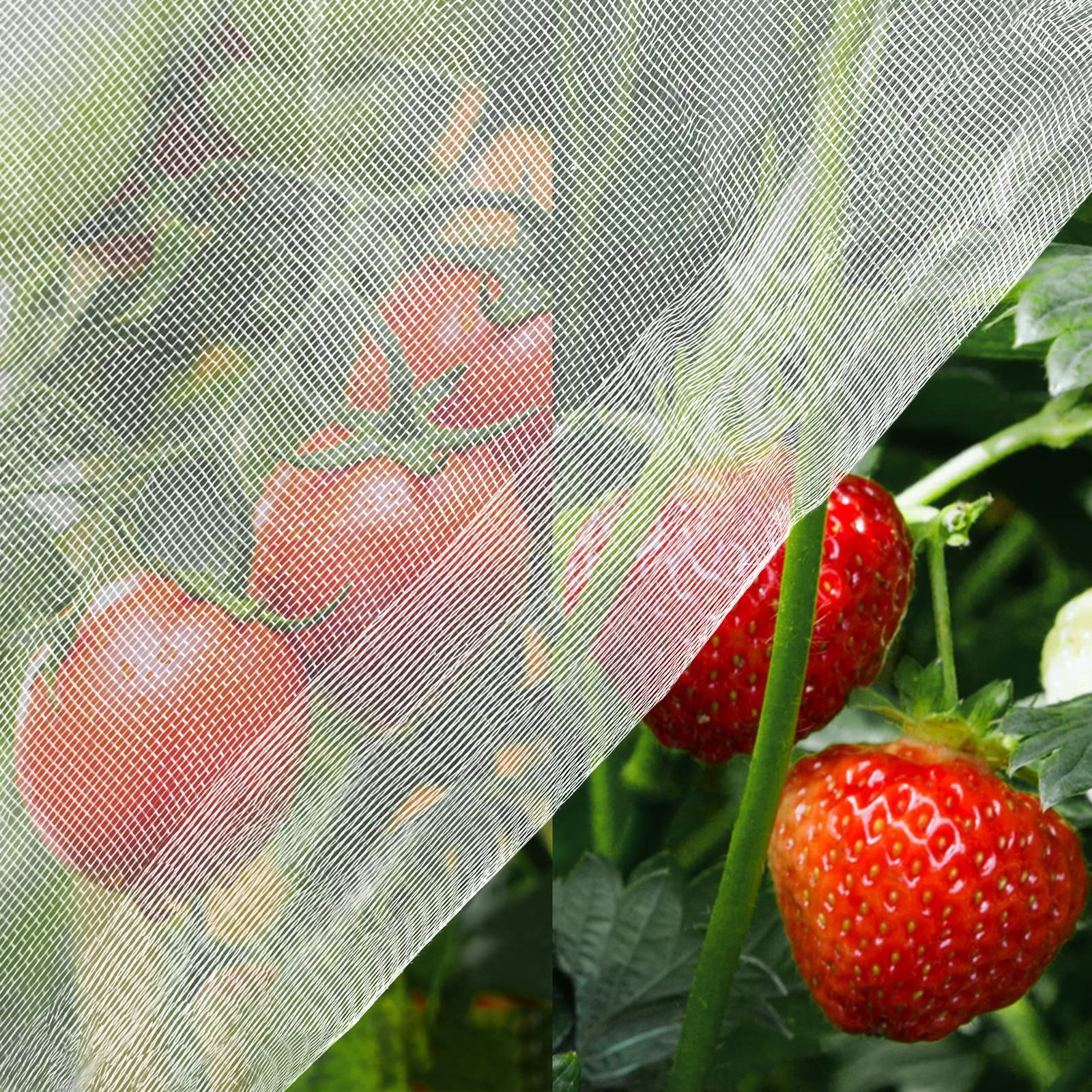 Unves 10'x20' Garden Netting, Bird Netting Mosquito 10 x 20 Ft x 1 pc, White