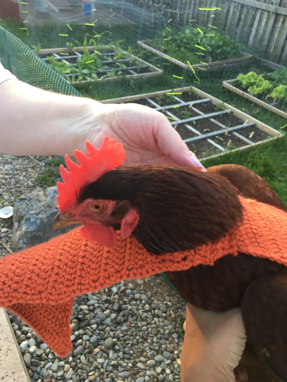 Handmade Crocheted Chicken Sweater