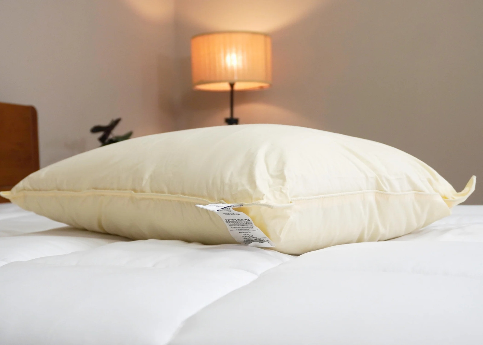 Down Etc. Aquaplush Pillow