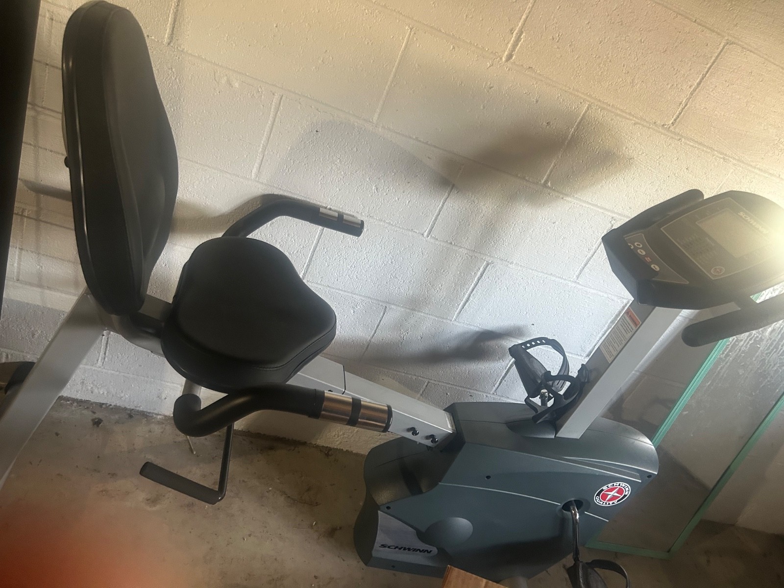 Schwinn recumbent bike