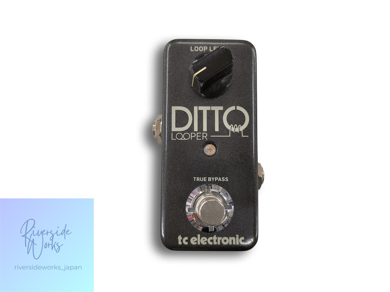 TC ELECTRONIC DITTO Looper Effects Pedal JP