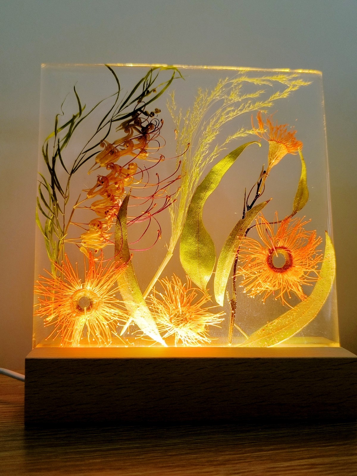 ustralia Nature Eucalyptus Flowers Night Light