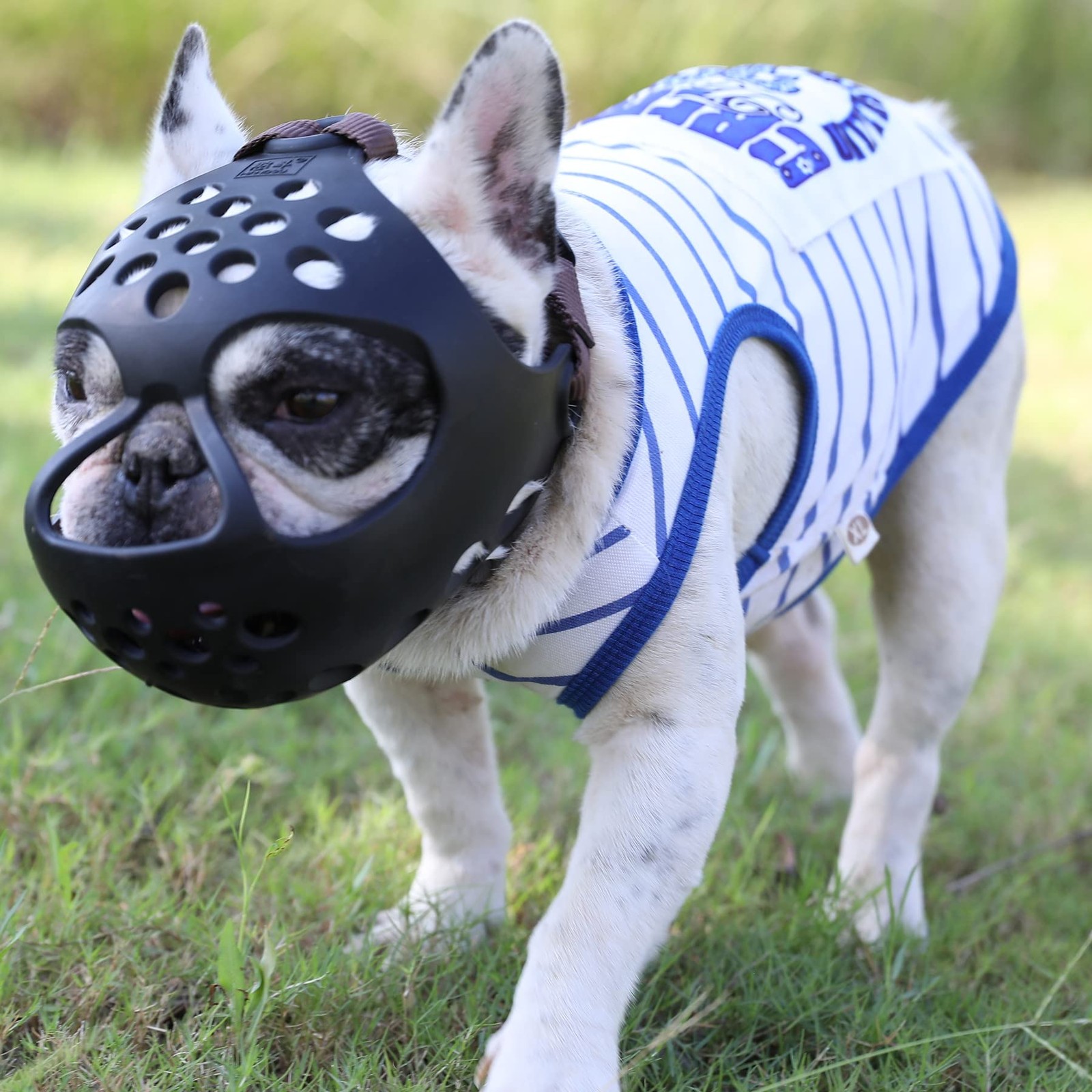 1 PCS Black Medium 1315 Inch Short Snout Dog Muzzle Soft Silicone Barking