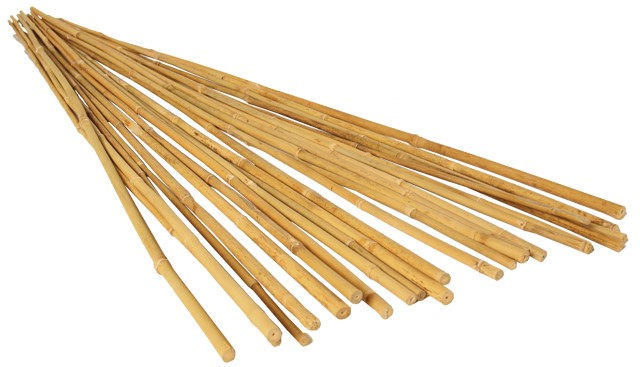 GROW!T 3 Bamboo Stakes, Natural, pack of 25