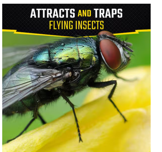 PACK OF 3 Fly Stick Insect Trap