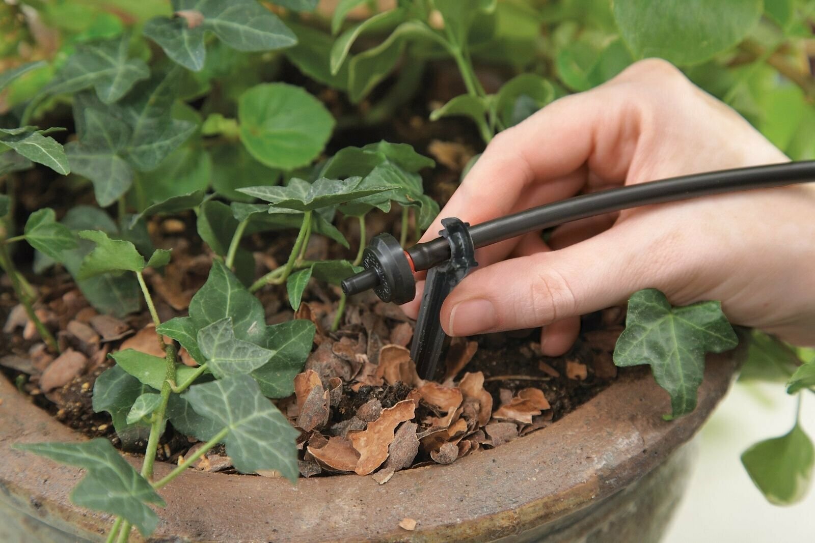 Raindrip R560DP Automatic Watering Kit for Container and Hanging Baskets
