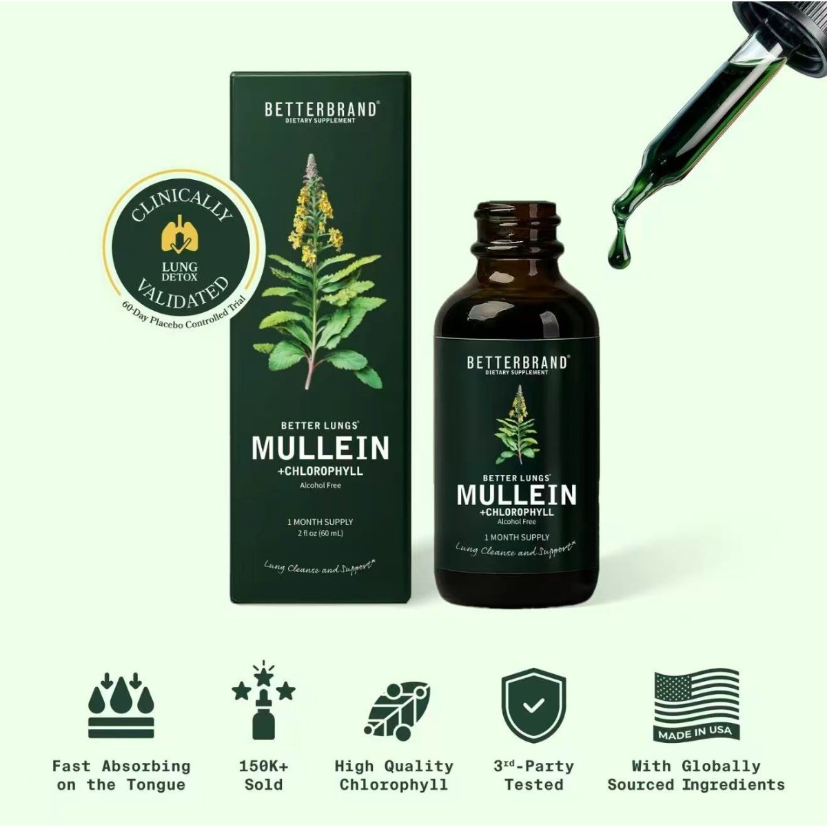 Mullein & Chlorophyll Liquid Drops – Respiratory Support & Lung Cleanse