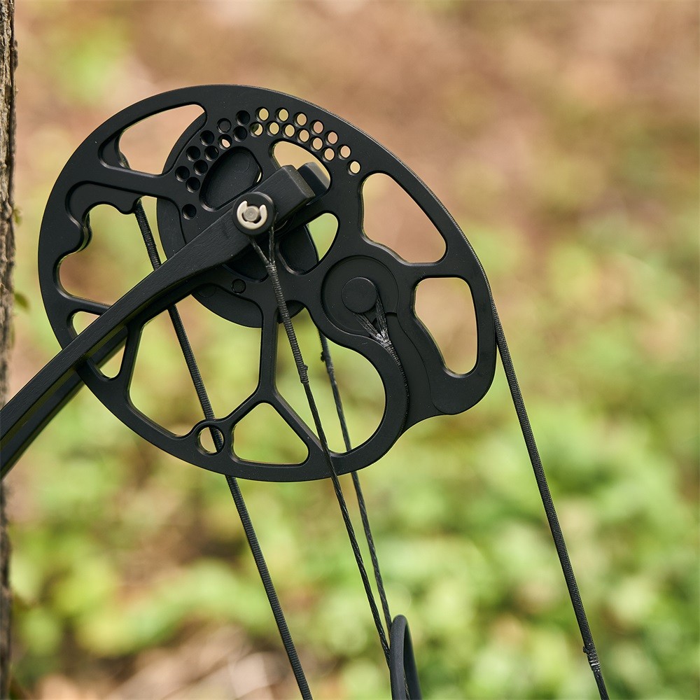19-70lbs Compound Bow Arrows Kit Hunting Adjustable Archery Hunt Shooting Target