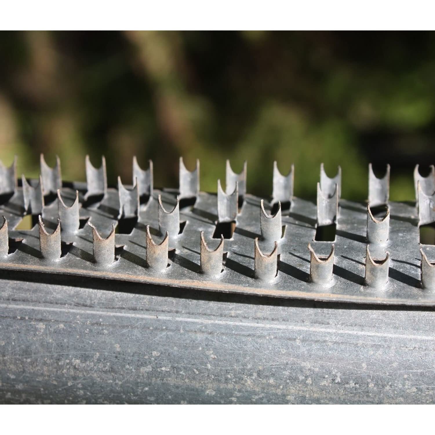 Boss Buck Shark Teeth Varmint Deterrent Strips for Deer Feeder 3 Pack
