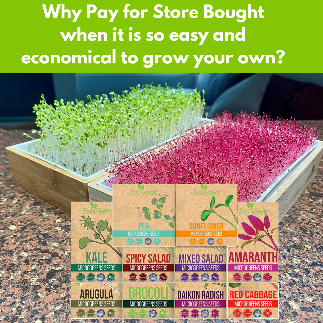 Organic Variety Pack Microgreens Seeds