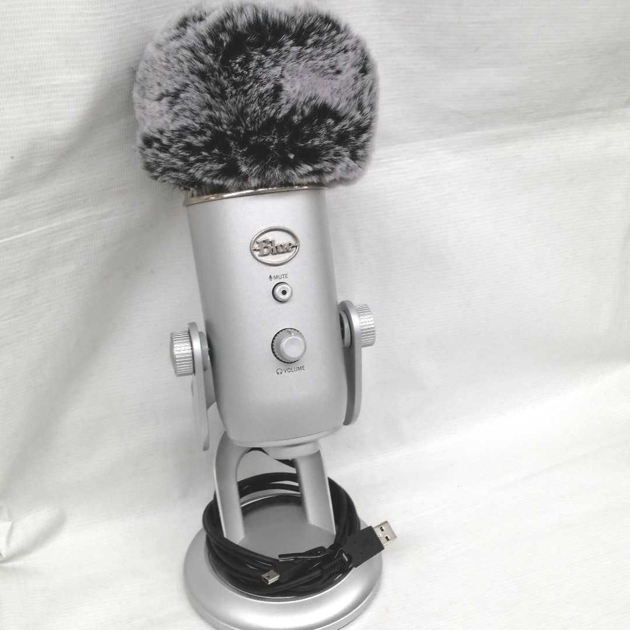 BLUE Condenser Microphone A00121 Used