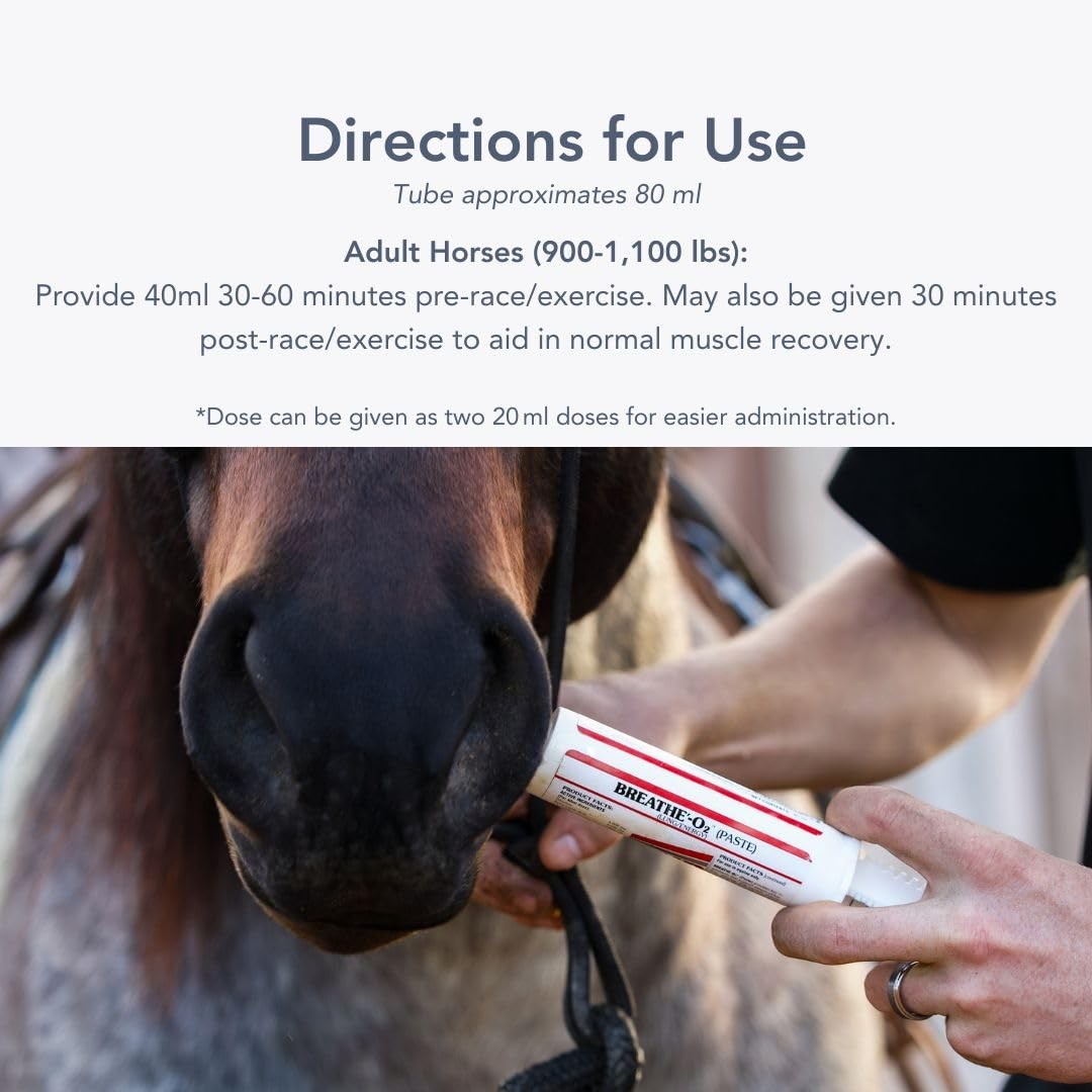 Breathe O'2 Paste (2 doses) Pre-Race Paste to Support Lung/Airway Function & ...