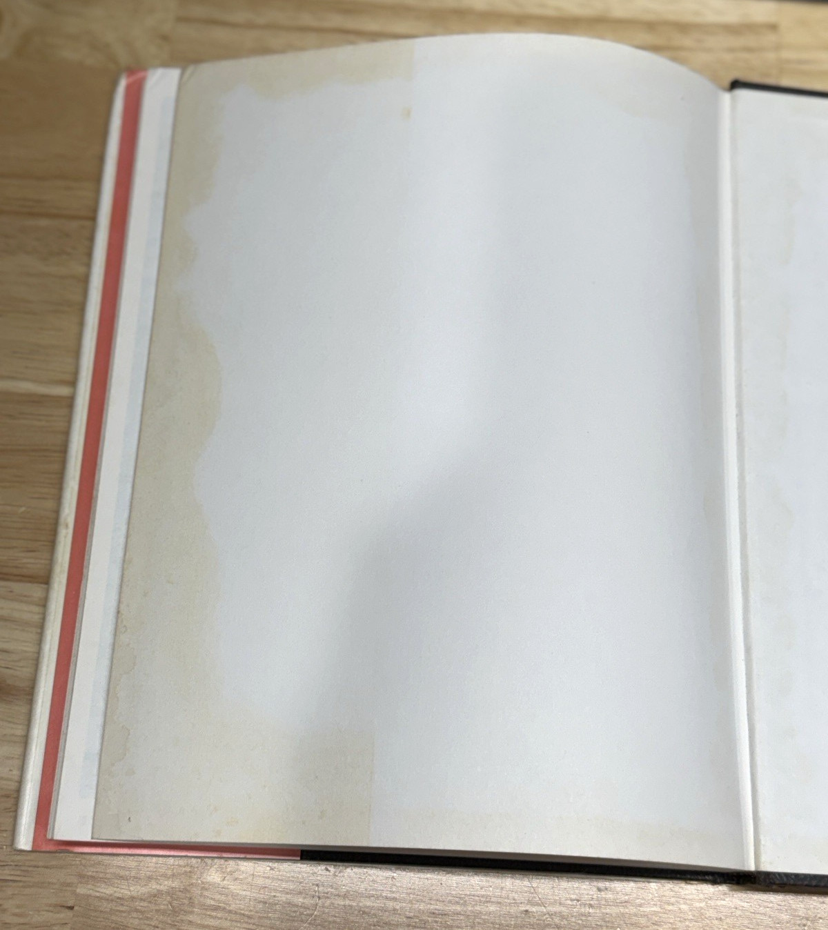 Willard The Wizard Magic Book By Bev Bergeron SIGNED by Author Magician
