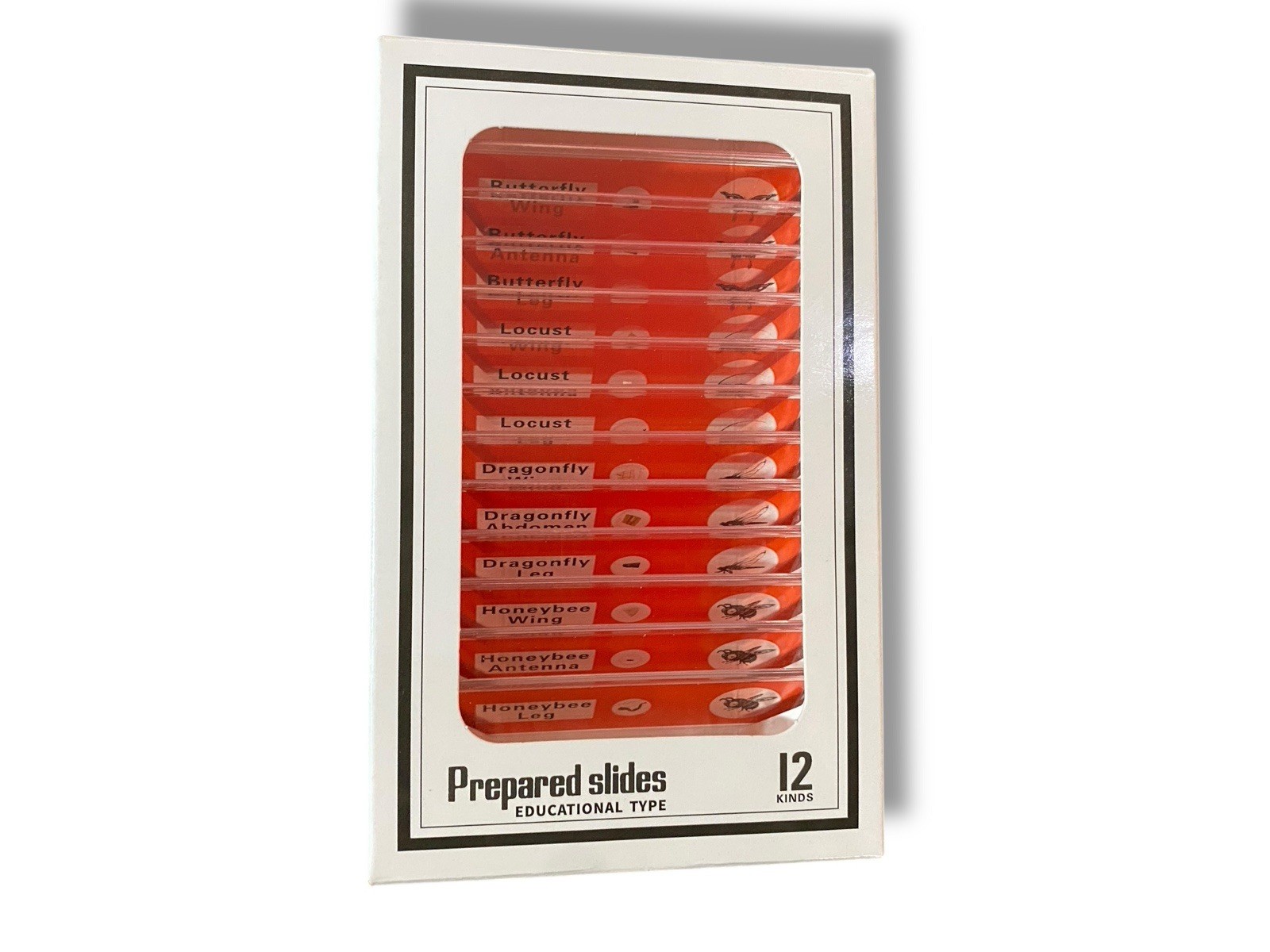 24 Pcs Prepared Microscope Slides Specimen Set Educational Microscope Accessory
