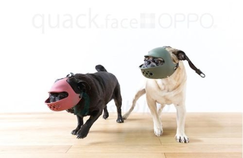 Quack Face Dog Muzzle - Duck bill designer pet protection, from Japan NEW F/S