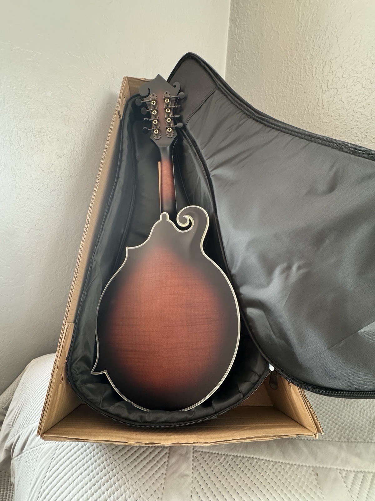 Vangoa Mandolin Instrument Bundle 8-String with Gig Bag New Complete