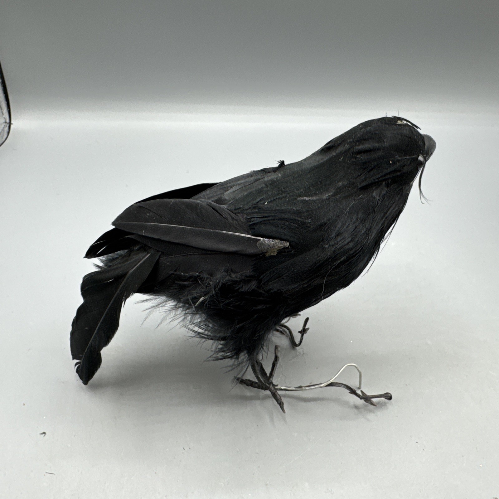 5 PCS Black Feathered Crows Halloween Ravens