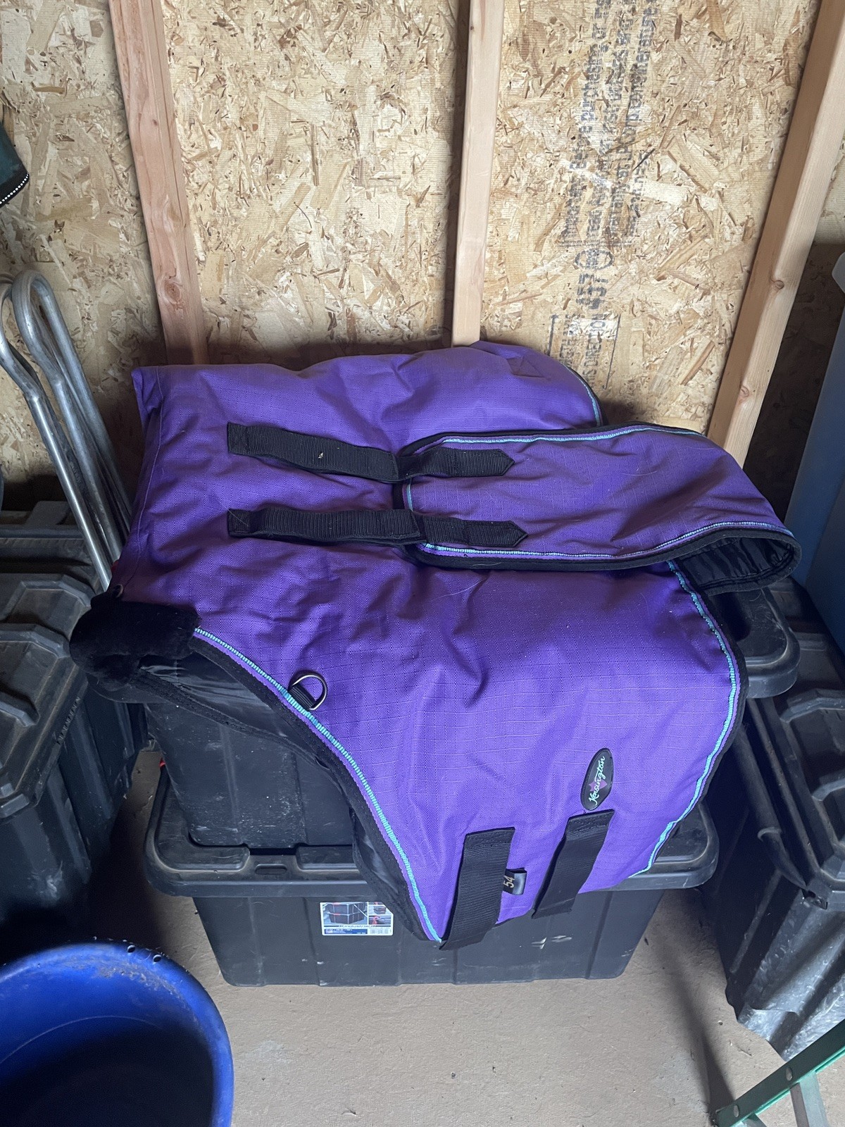 54 Kensington Pony/mini Turnout Blanket