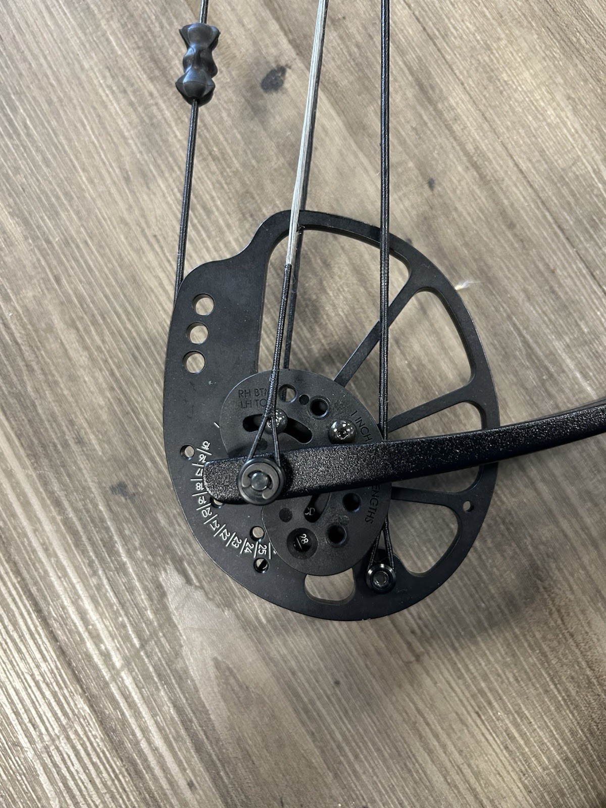 bear archery compound bow Cruzer