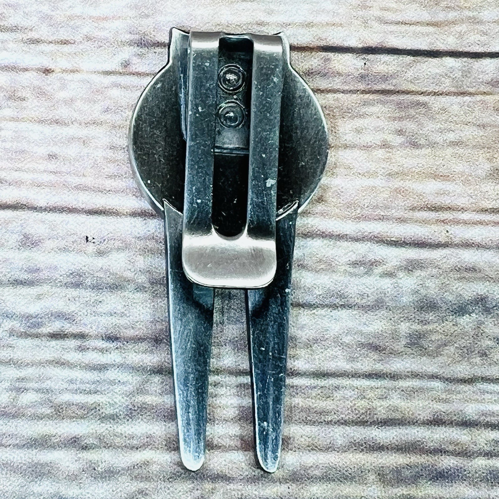 2001 PGA Championship Divot Tool & 1" Coin Style Marker