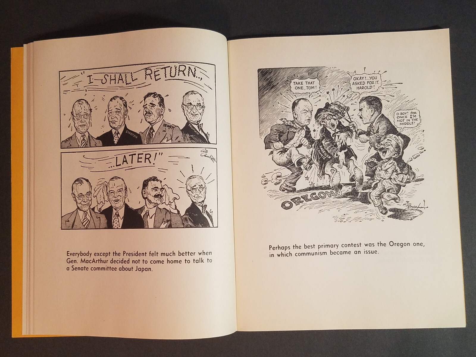 The Campaign of ’48 in Washington Star Cartoons