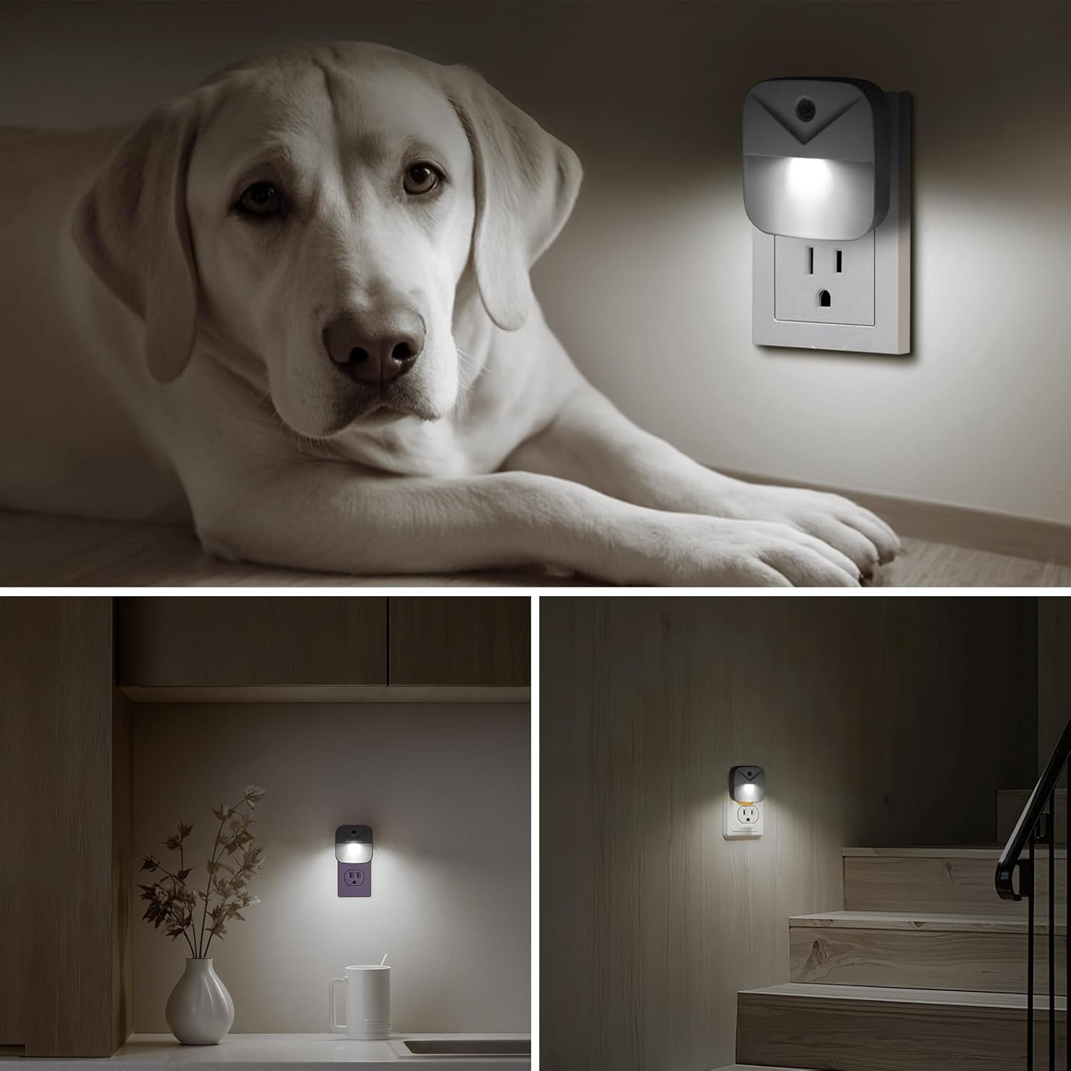 6 Pack LED Night Light Plug into Wall, Daylight White Color Dusk to Dawn Sensor