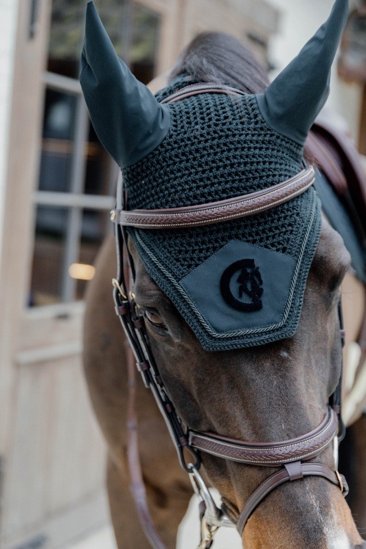 Dion Plaited Combo Bridle