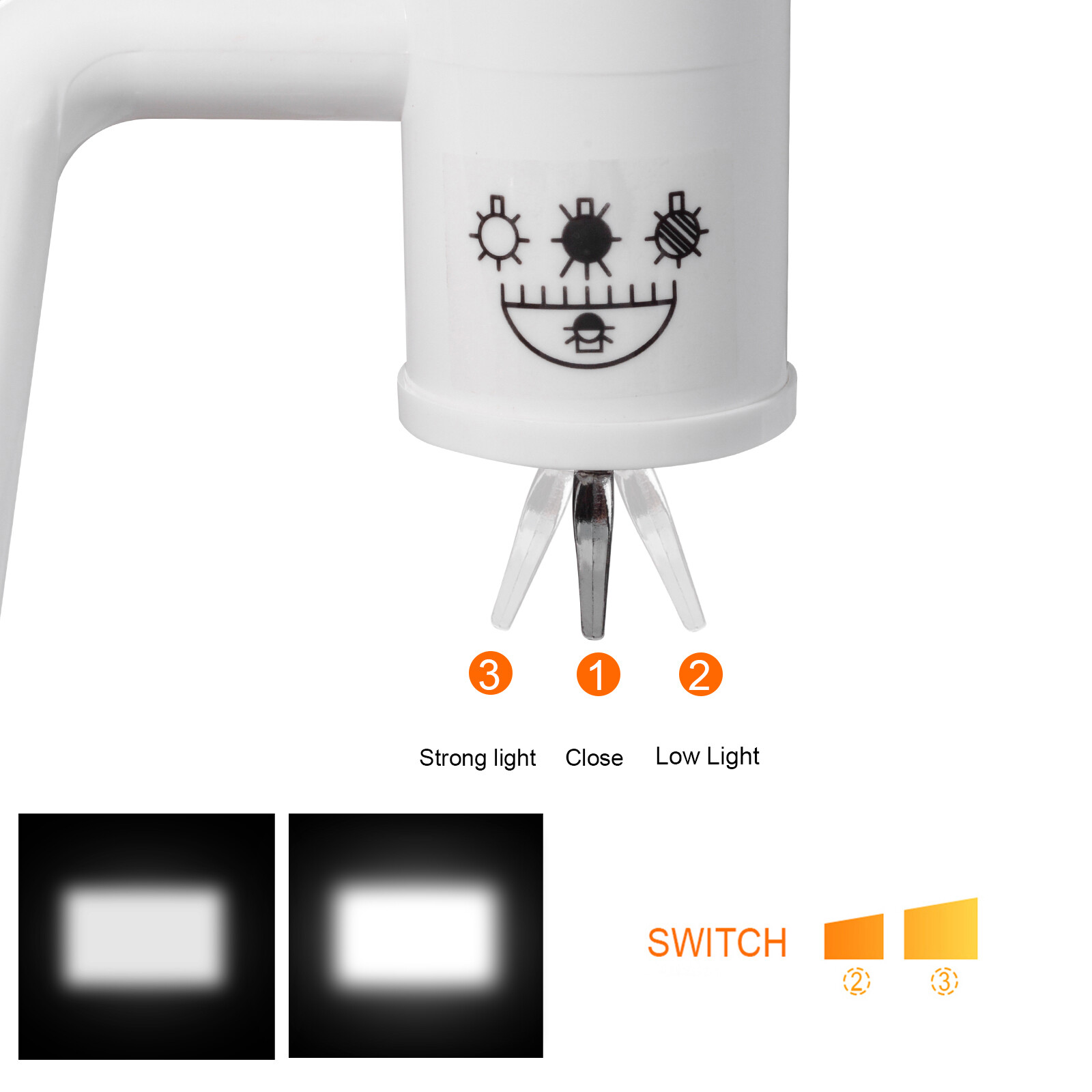 Wall Mounted Dental Shadowless Oral Cold Light Halogen Lamp Medical Exam Light