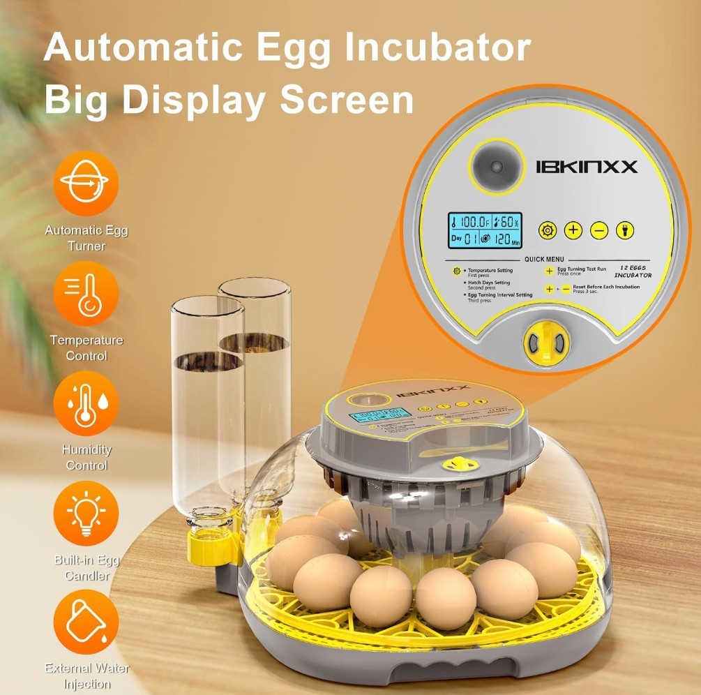 Incubator for Hatching Eggs-12 Egg Capacity, 2026 Upgraded Automatic Egg Turner