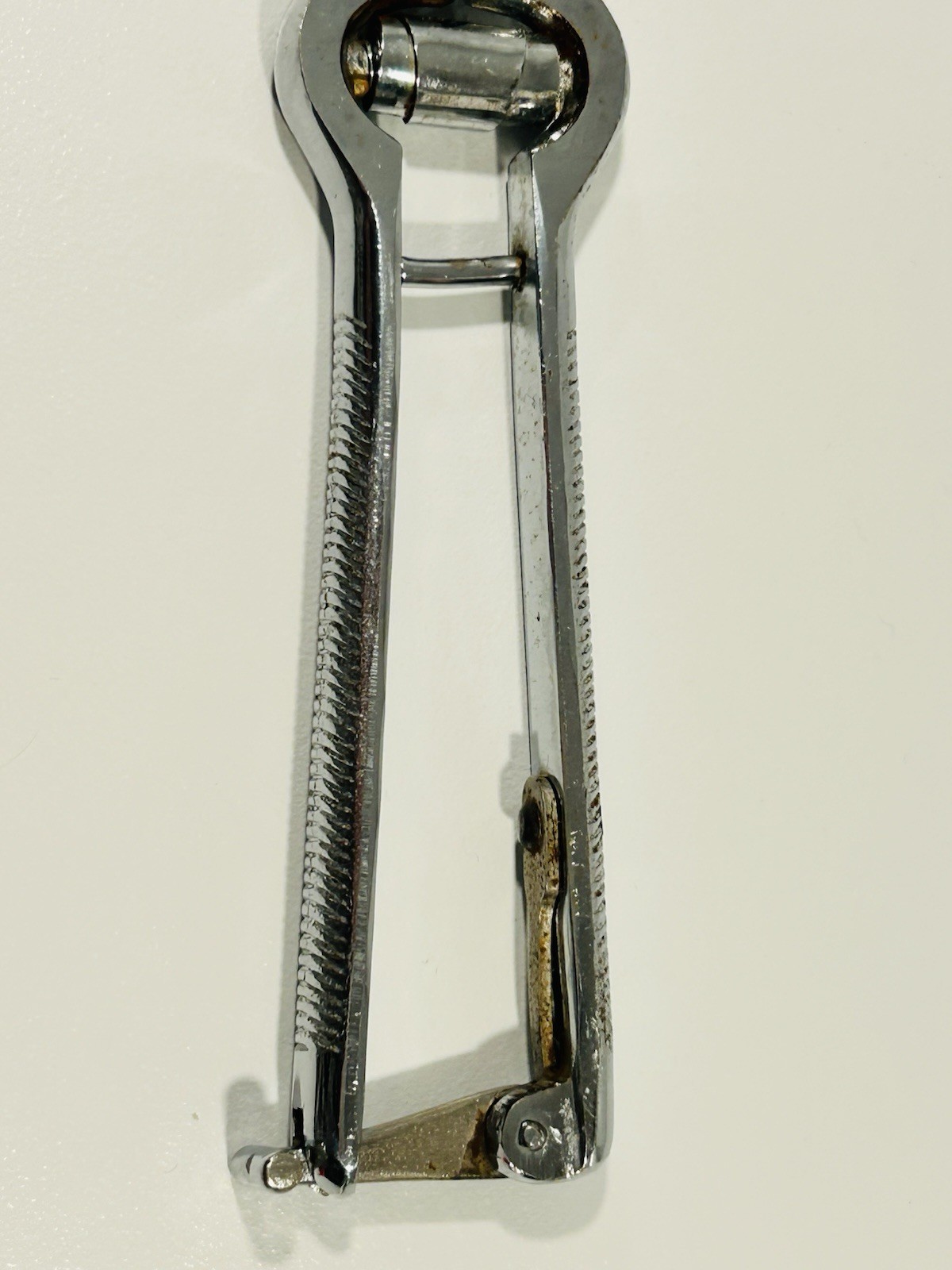 Vintage Japanese Poultry Shears Spring Hinge Kitchen Scissors
