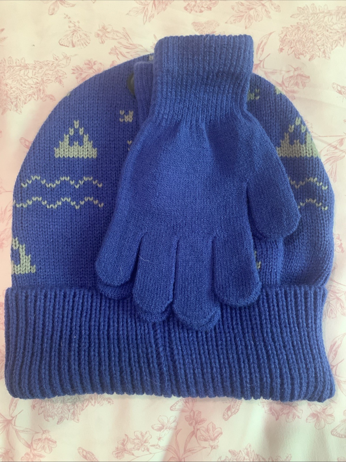Boys Hat Glove One Size Dinosaur