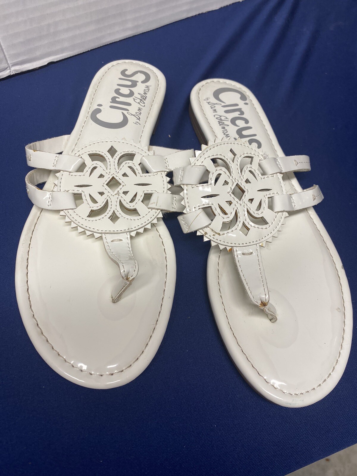 Circus by Sam Edelman Canyon Medallion Thong Sandal Women's Size 8