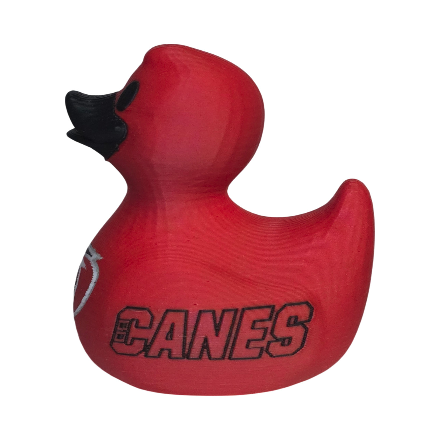Carolina Hurricanes Duck