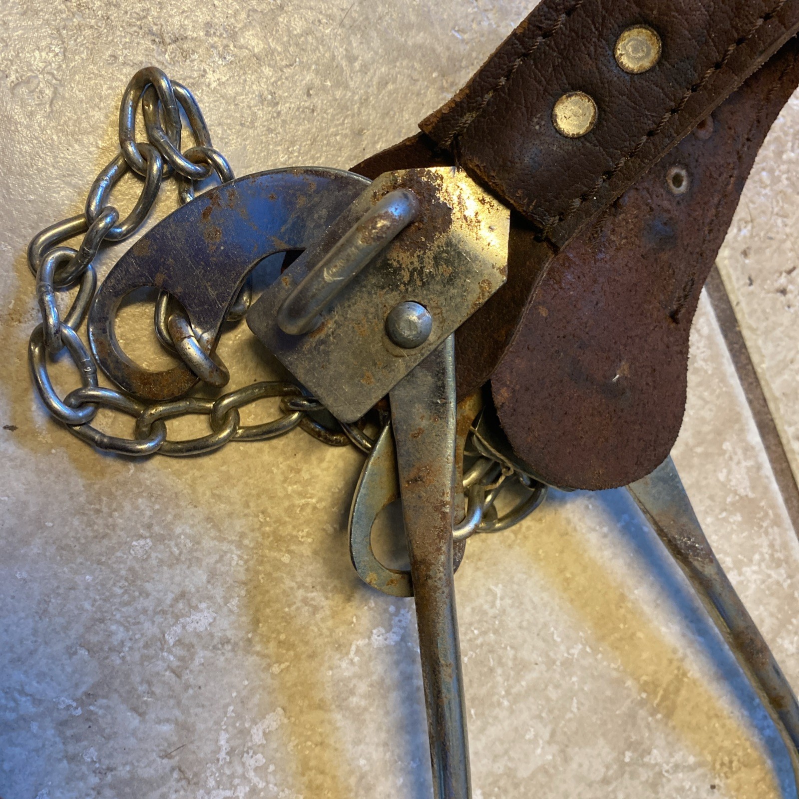 Mechanical Hackamore with 8 inch Shanks and Solid Leather Wrapped Nose Band