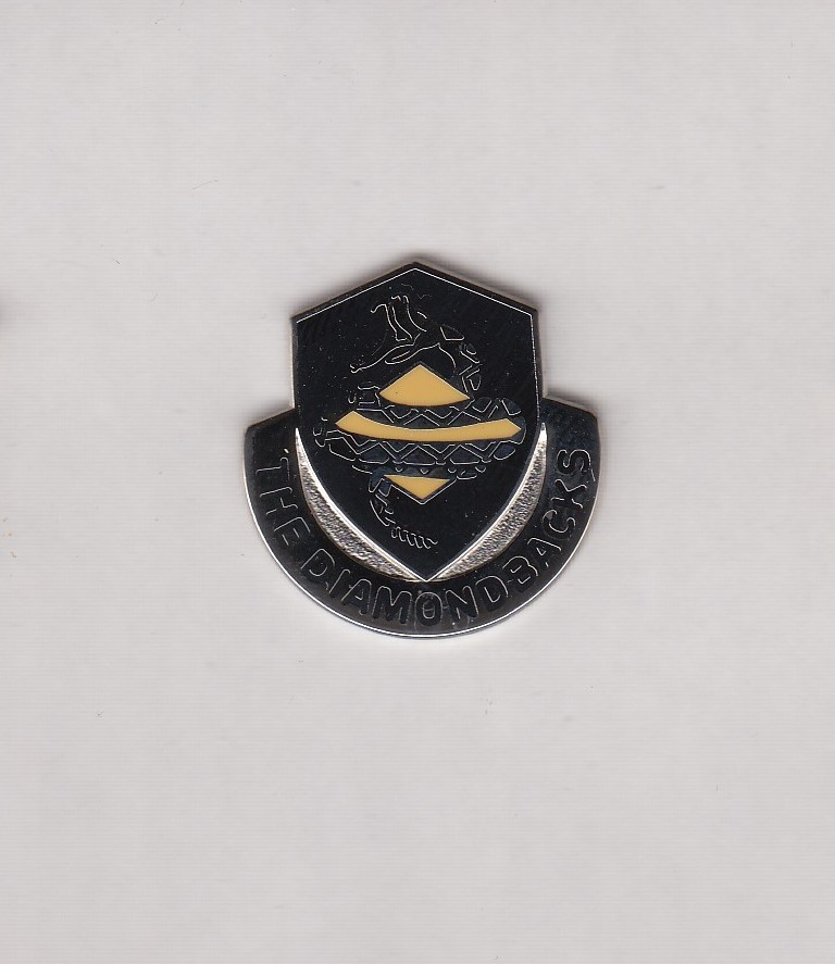 US Army 106th Finance Battalion crest DUI badge cb clutchback I-21