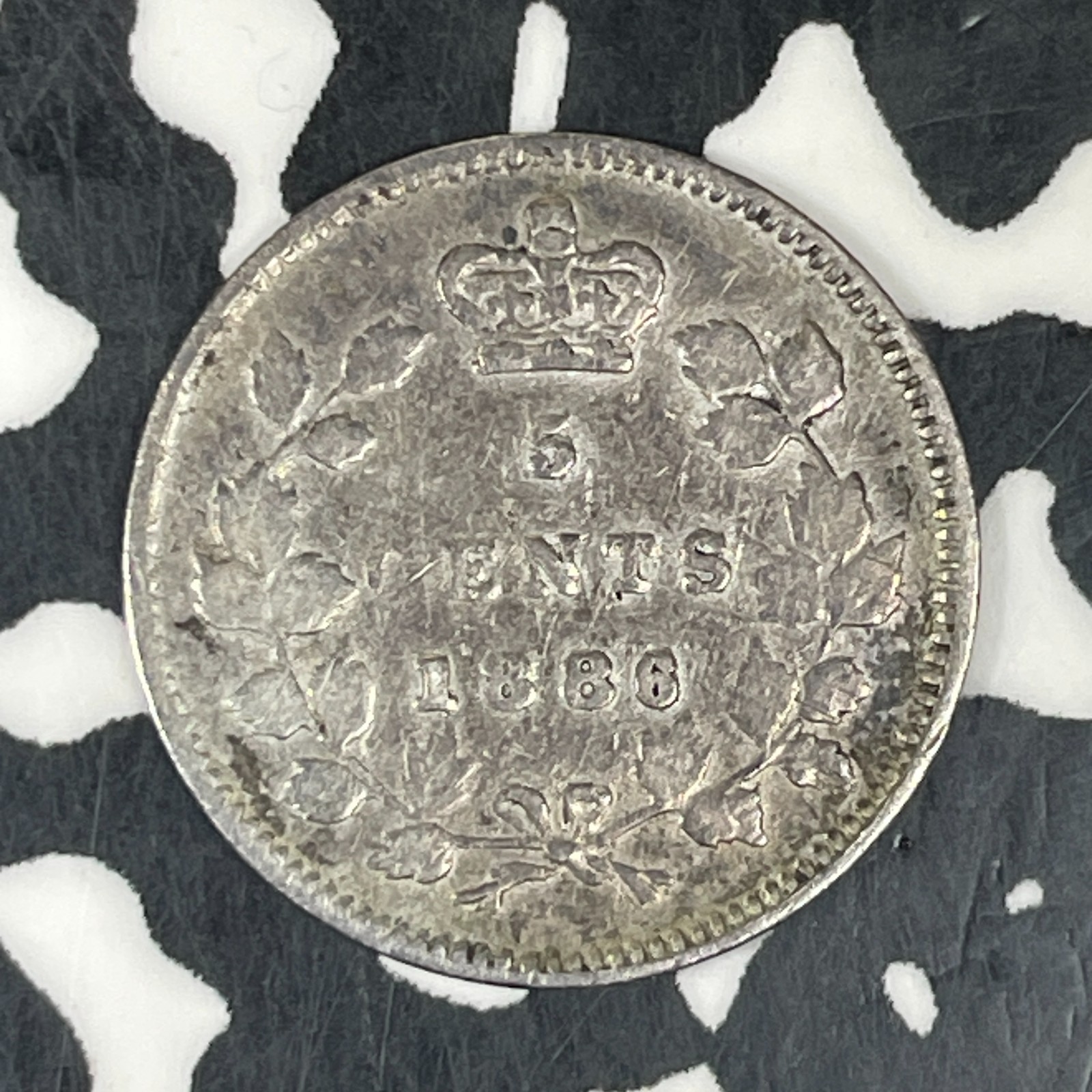 1886 Canada 5 Cents Lot#C8711 Silver!