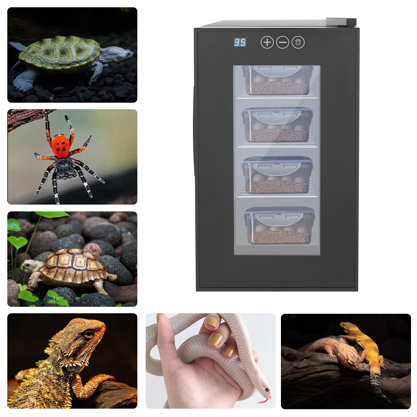 Reptile Incubator Constant Temperature and Humidity Reptile Incubator Machine
