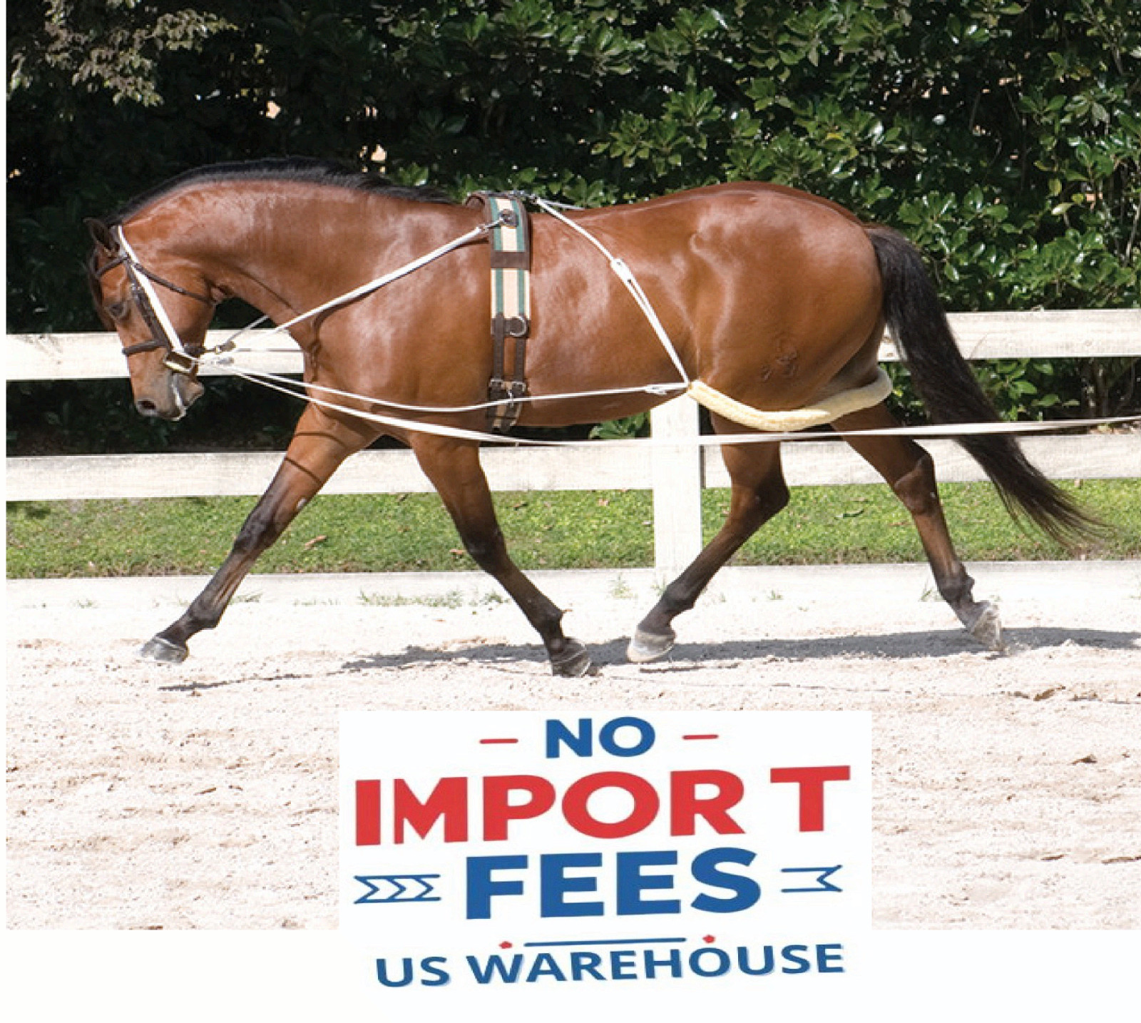 Leaders NEW Horse (Equine) Lunging Training System Lunging Aid (Pessoa based)