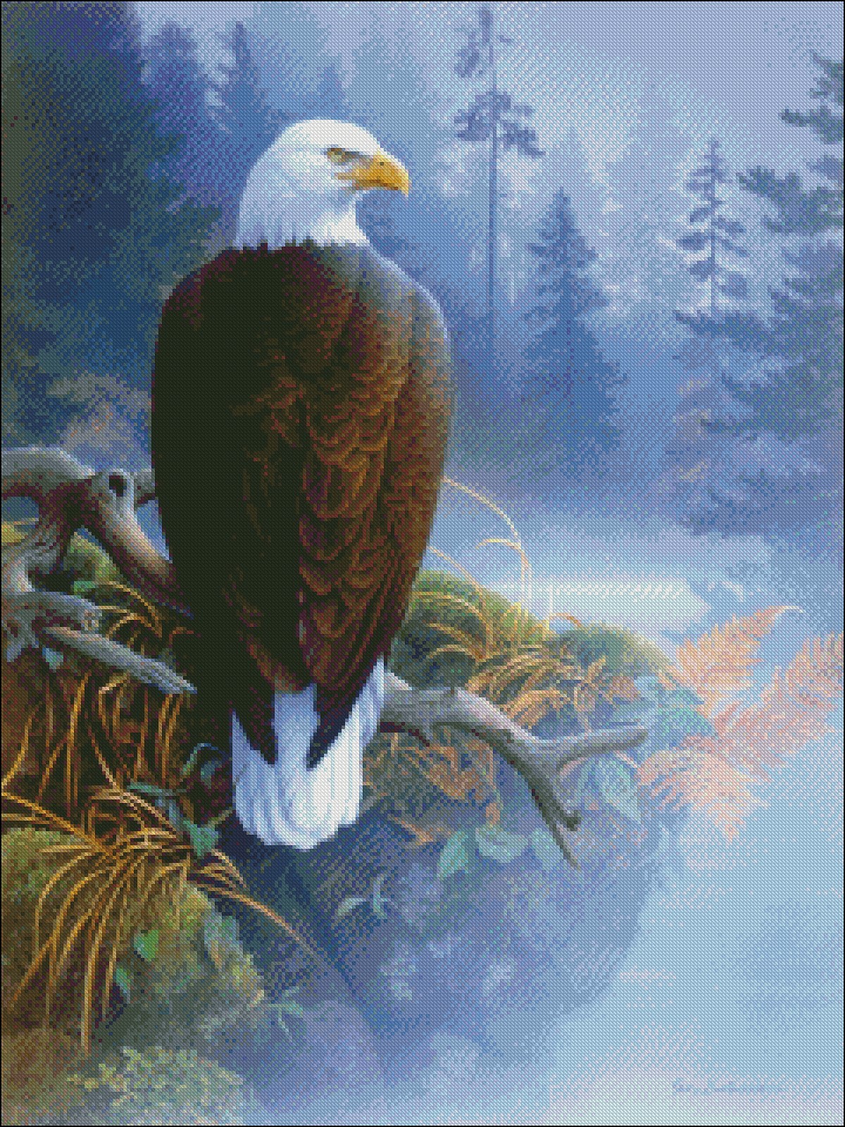 Eagle in the Mist - Chart Counted Cross Stitch Patterns Needlework DMC Color