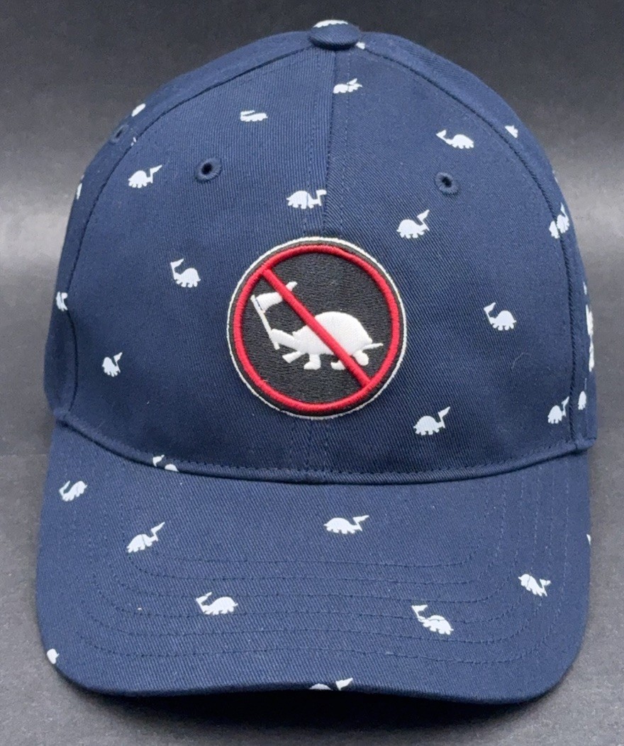 Adidas No Slow Play Golf Hat Adjustable Dad Cap Turtle Flag STEVENS POINT CC WI